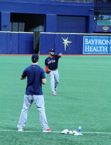 Photopost: Tropicana Field – Panorama of the Mountains