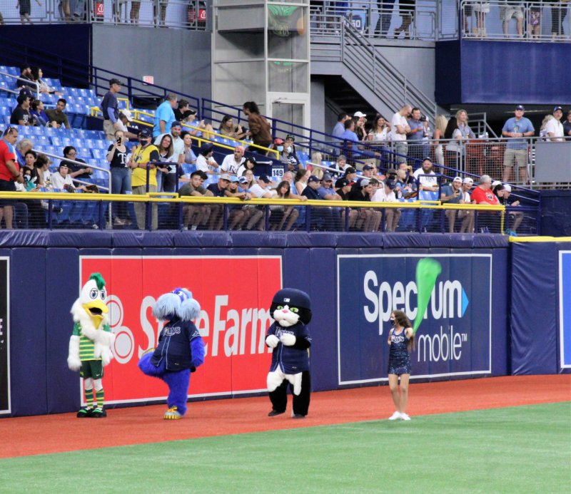 Photopost: Tropicana Field – Panorama of the Mountains